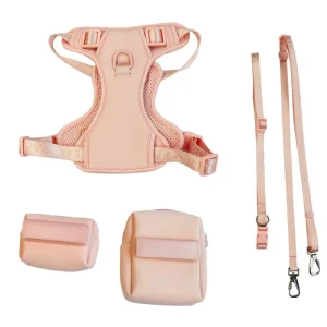 Alternative view of PET Harness Kit