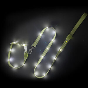 LED Dog Collar/ Dog Leash Set - Image 4
